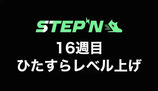 【検証】STEPN（ステップン）副業チャレンジ16週目の収益公開【B国の現状をレポート】